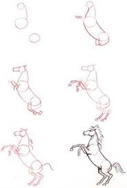 Dessiner Un Cheval Cheval Cabre Comment Dessiner Un Cheval Dessin Cheval Dessin Cheval Facile