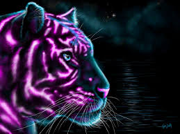 We did not find results for: Neon Tiger By Toastweasel On Deviantart
