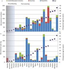 Image result for Sarcophrynium prionogonium