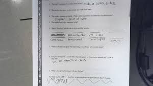 Hair Fiber Evidence Worksheet Answers Promotiontablecovers