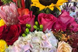 We did not find results for: Mcallen Florist Blossoms With Concept Vbr