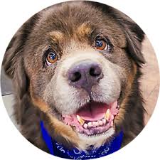 Discover them and find what you need now! Petvet Clinic Tractor Supply Co
