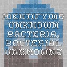 Identifying Unknown Bacteria Bacterial Unknowns Flow Chart