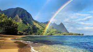 Maybe you would like to learn more about one of these? Hawaiian Beach Wallpapers 53 Best Hawaiian Beach Wallpapers And Images On Wallpaperchat