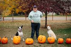 Canine Good Citizen (CGC) group classes