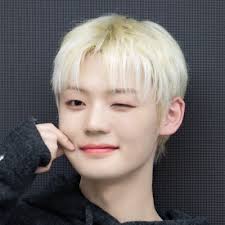 Fanny Cheng (@FannyCheng85089)