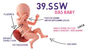 Die berühmte übelkeit kommt meist erst ein wenig. 39 Ssw Die Wochen Deiner Schwangerschaft