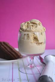 French Vanilla Ice Cream Briana Thomas Recipe Low Carb Ice Cream Healthy Ice Cream Recipes Healthy Ice Cream