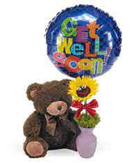 Check spelling or type a new query. Get Well Floral Guide Learn What Get Well Flowers To Send