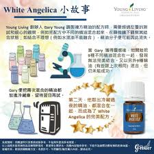 white angelica小故事 young living 創辦人gary young 曾向我們提及 當他調製複方精油的配方時 需要經過反覆的 測試 和細心 的觀察 例如把配方中不同的精油混合起來 在顯微鏡 下觀察其結合狀態 young living white angelica gary white