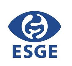 European Society of Gastrointestinal Endoscopy (ESGE)
