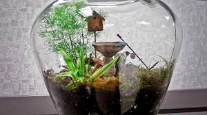 My Newest Obsession I M Making One This Year And That S That That S Not To Say The Plants Will Grow How To Make Terrariums Miniature Garden Garden Club