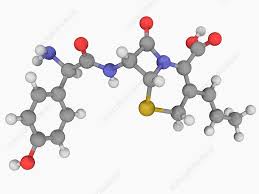 Image result for Cefprozil