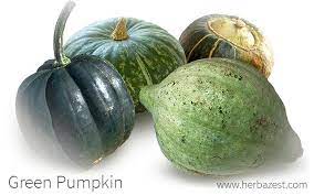 Not to be confused with green pumpkin (2020) and green pumpkin (2019). Green Pumpkin Herbazest