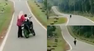 Cocok untuk sekolah yang belum punya website atau ingin memperbarui websitenya agar bisa memuat 5 langkah cara membuat website. 5jyynltrvyzz7m