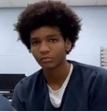 DANIEL CANALES, A DETROIT JUVENILE ARRAIGNED AS AN ADULT ON CHARGES  INCLUDING SECOND DEGREE MURDER Prosecutor Peter J. Lucido announced today  that Daniel Shane Canales, a 16-year-old juvenile of Detroit, was arraigned