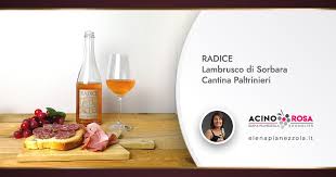 2018 paltrinieri radice lambrusco di sorbara sku #1442489 95 points wine enthusiast. Radice Lambrusco Di Sorbara Cantina Paltrinieri Acino Rosa