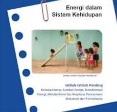 Soal dan pembahasan buku sukino matematika peminatan kelas xii kunci jawaban bab 3 lks 1 7. Latihan Soal Ipa Kelas 7 Smp Mts K13 Energi Dalam Sistem Kehidupan