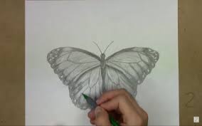 Allow the bottoms of some of the lines to meet in points as well. 3d Pencil Sketch Of Butterfly