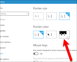 We did not find results for: How To Change The Size And Color Of The Mouse Pointer In Windows