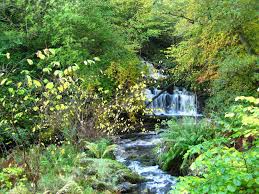 And whether you need one for your tv? Campsie Glen Waterfalls Scotland Off The Beaten Track