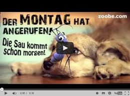 Sprüche Wochenende Zu Ende Ribhot V2