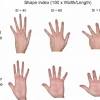 Deep intrinsic muscles of the foot through video. Https Encrypted Tbn0 Gstatic Com Images Q Tbn And9gcsyrljpzykcxfpzqhfnys7er Bwm7mva6dwqsc0e8uq6fuuklzv Usqp Cau