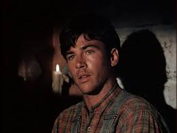 Dynastie Distribution