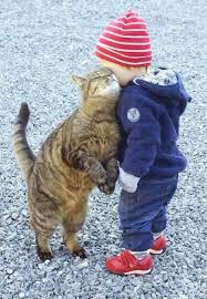I Will Kill You Last 3 Cute Animals Animals Friends I Love Cats