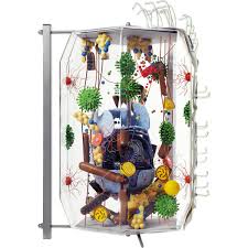 Check spelling or type a new query. Human Cell Model 40 000 Times Life Size 1008554 Vl650 Biology Models Biology Teaching Models Mitosis Products Meiosis Products Human Animal Cell Models