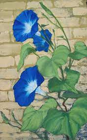 Morning Glory By Lynn Macintyre Morning Glory Flowers Art Drawings Beautiful Painting