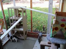 Such doors are easy to find at your local home improvement now that the cat is regularly coming outside to use the litter box, keep moving it progressively further from the door to the area of the yard where. Enclosures For Cats Community Concern For Cats
