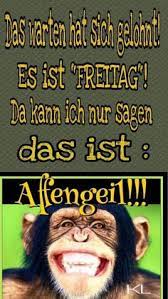 630 Freitag Ideen In 2021 Freitag Freitag Spruche Freitag Lustig