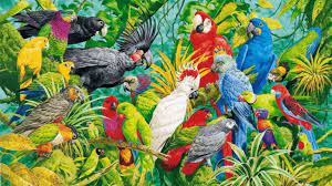 Parrots for sale in all classifieds. Where To Buy A Parrot African Grey African Grey Parrots For Sale