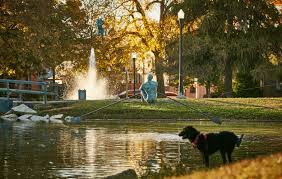 Rower By Jerzy Kedziora Schiller Park Park Balance Art