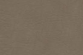 Image result for Beige Antelope 1983 Fleet