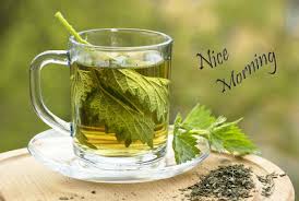 The Fresh Wallpaper Lovely And Beautiful Good Morning Wallpapers Everyone needs some inspiration to start their day. beautiful good morning wallpapers