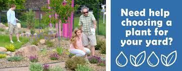 We did not find results for: Colorado Springs Utilities Xeriscaping Water Wise Plants