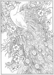 300 dpi print ready file format: Peacock Coloring Pages Coloringbay