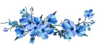 Pin By Raquel Duarte De Alencar Secun On Denenecek Projeler Watercolor Flowers Flower Painting Flower Illustration