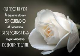 Imagen de luto para perfil. Frases De Duelo Con Imagenes De Monos Para Whatsapp Y Facebook