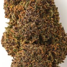 Buy Purple Gelato | THC Flowers | Easy Weed | Buds | 18% THC – HempHash 