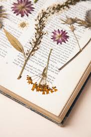 Handmade with love by une fleur. Diy Pressed Flower Wall Art Design Sponge