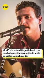 Muerte de Diego Gallardo: Bala Perdida en Ecuador