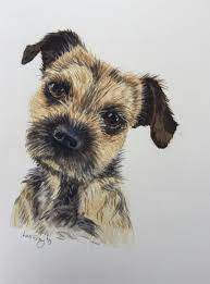 Simply sear the meat in a hot pan, then place in the crock pot along with the seasonings above and a cup of water or. Brillo The Border Terrier Border Terrier Terrier Watercolor Paintings