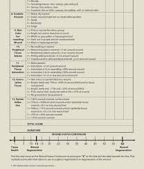 Evaluation Of The Patient With A Wound Plastic Surgery Key