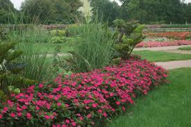 Check spelling or type a new query. 13 Heat Proof Annuals Hgtv
