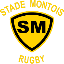 Download the rugby top 14 logo vector file in ai format (adobe illustrator) designed by coudon interactive. Logo Logo Stade Toulousain Pixel Art
