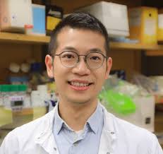 Han Yang, PhD