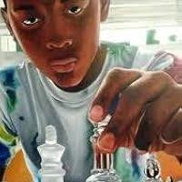 The Origin by Irving Stone